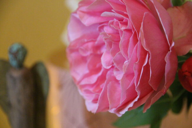 IMG_9828 Kraft und Lebensqualität- mentale Resilienz -Natur