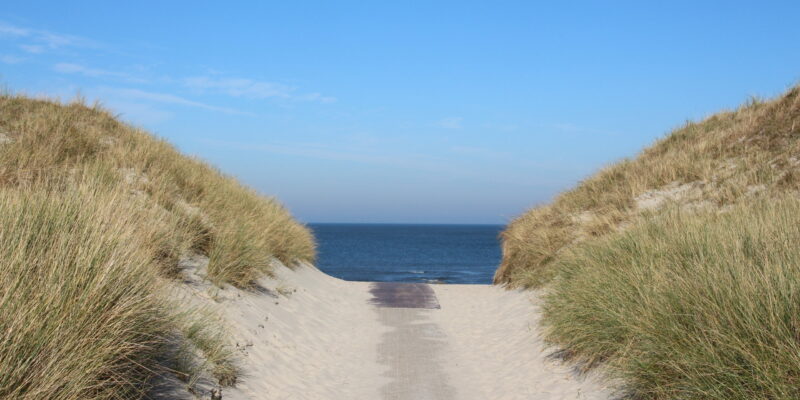 Weg durch Dünen zum Meer, Inspiration für Coaching und Entspannung auf Wohlfuehlzeit-verl.de