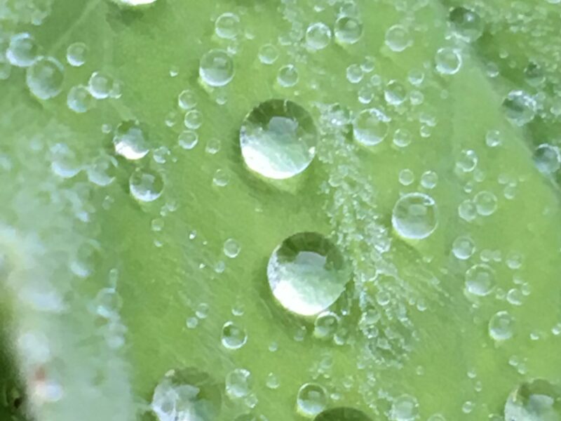 Fokus Raum finden im Alltag