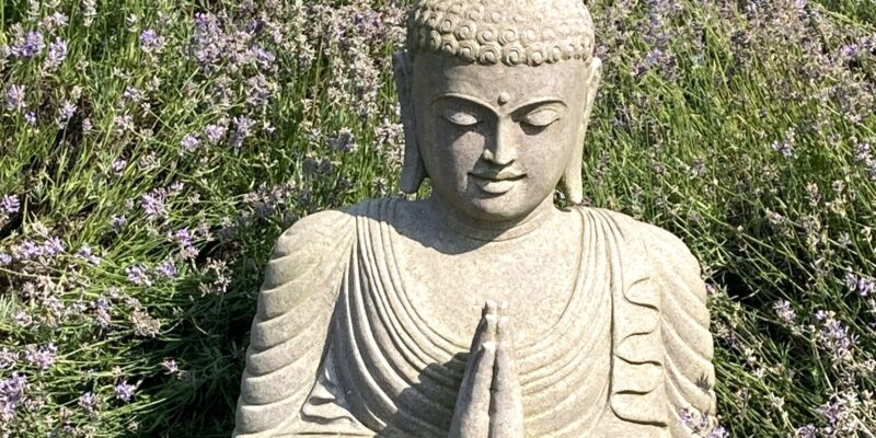 Kalender & Veranstaltungen – Ruhe, Achtsamkeit und Inspiration auf wohlfuehlzeit-verl.de