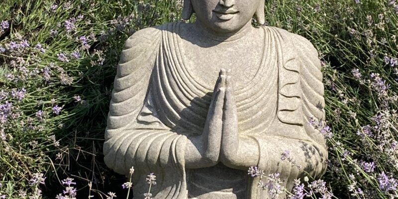 Grauener steinerner Buddha im Lavendelfeld, Hände vor dem Brustbein zusammengelegt