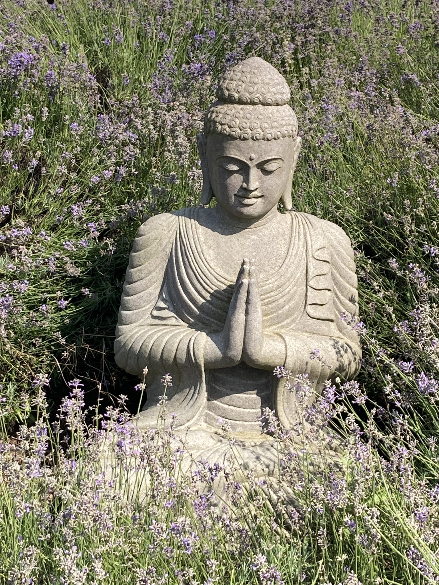 wohlfühlzeit -Buddha