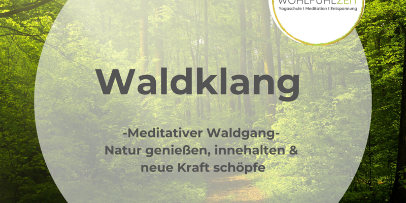 Waldweg im frischen Maigrün, Sonne und Schatten wechseln sich ab, Licht fällt von oben links auf den Weg, der nach vorne heller wird; transparenter Kreis mit Logo „Wohlfühlzeit“ und Schriftzug „Waldklang – meditativer Waldgang“.