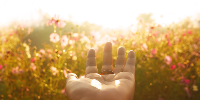 Begleitung im Wandel – Raum für Hoffnung und neue Perspektiven nach Verlust und in Lebenskrisen Ausgestreckte offene Hand vor einer lichtdurchfluteten Blumenlandschaft als Symbol für Begleitung, Hoffnung und neue Wege in Zeiten von Trauer und Veränderung.